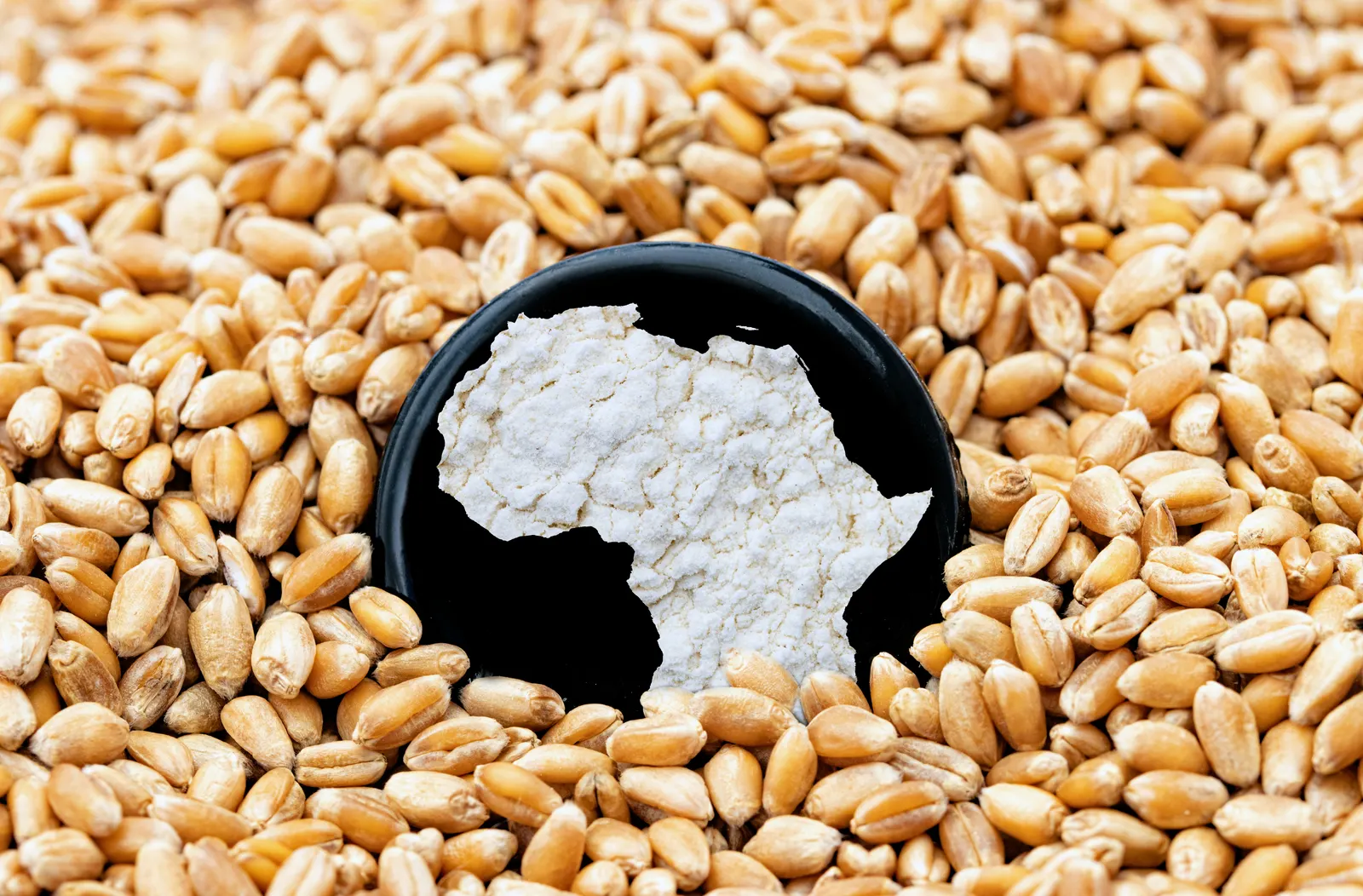 East African grain sourced and traded to the world